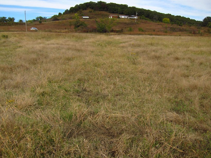 The same Clapp site fully restored, covered in healthy grass with no visible trace of the spill.