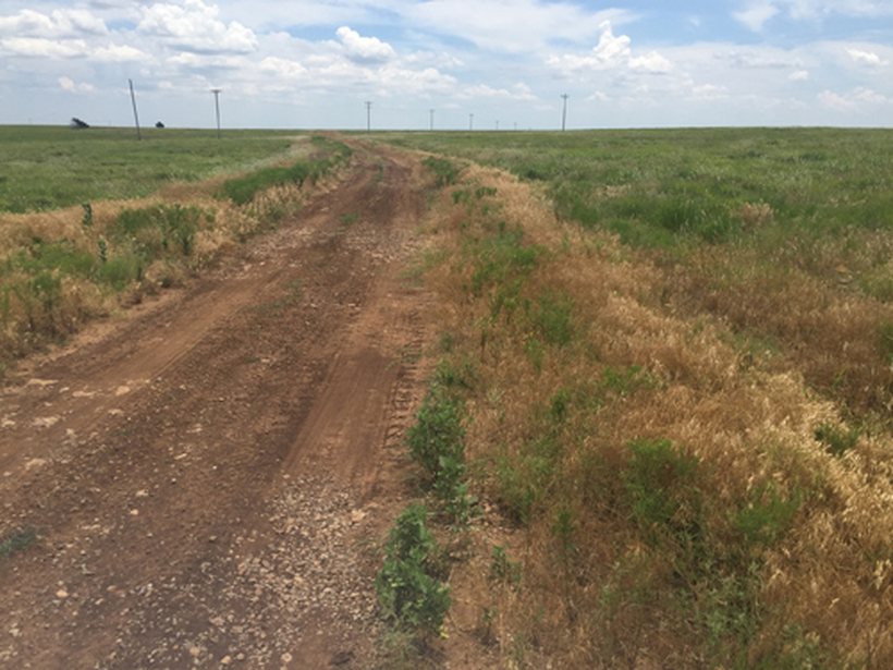 The same Dandy 2815 site with vegetation re-established across the former spill area.
