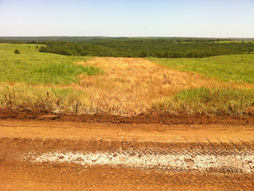 The Dandy 2815 site with an intense salt-brine scar and a white salt crust along the road edge, vegetation killed off.