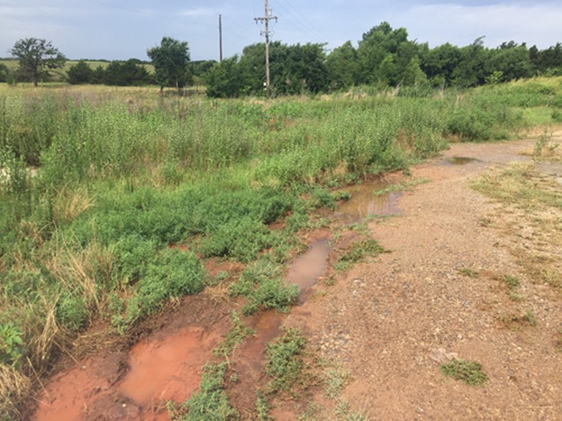 The same Vinco wellsite ground with green vegetation growing back where the salt crust had been.
